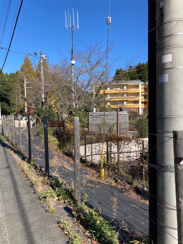 f:id:masaru-arameya:20211115070959j:image f:id:masaru-arameya:20211115070959j:image
