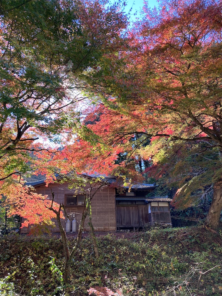f:id:masaru-arameya:20211115071436j:image f:id:masaru-arameya:20211115071436j:image