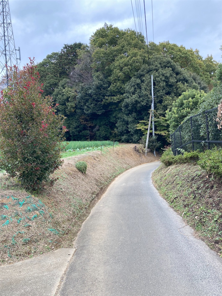 f:id:masaru-arameya:20211121170553j:image f:id:masaru-arameya:20211121170553j:image