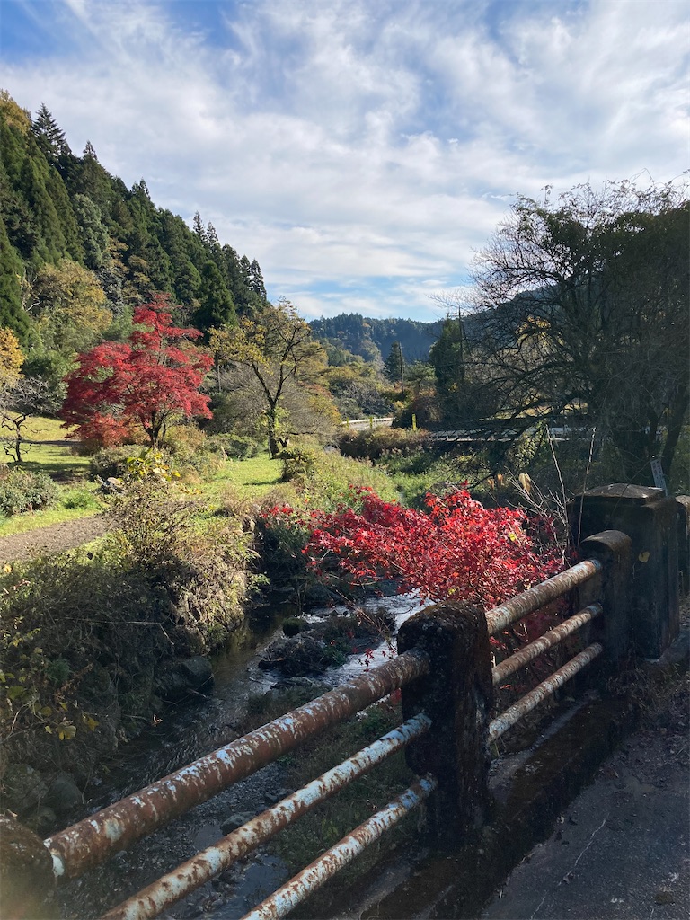 f:id:masaru-arameya:20211121182126j:image f:id:masaru-arameya:20211121182126j:image