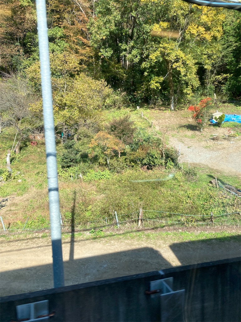 f:id:masaru-arameya:20211121182355j:image f:id:masaru-arameya:20211121182355j:image