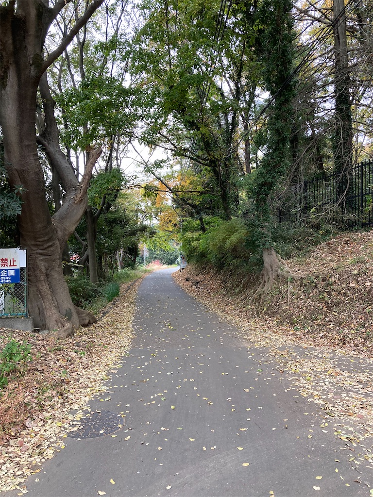 f:id:masaru-arameya:20211122161358j:image f:id:masaru-arameya:20211122161358j:image