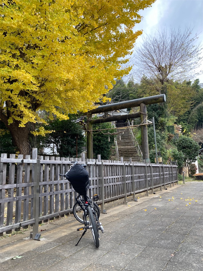 f:id:masaru-arameya:20211122161428j:image f:id:masaru-arameya:20211122161428j:image