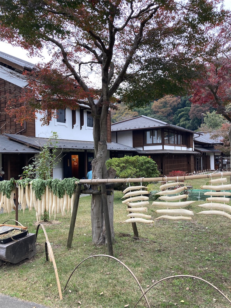 f:id:masaru-arameya:20211122161431j:image f:id:masaru-arameya:20211122161431j:image