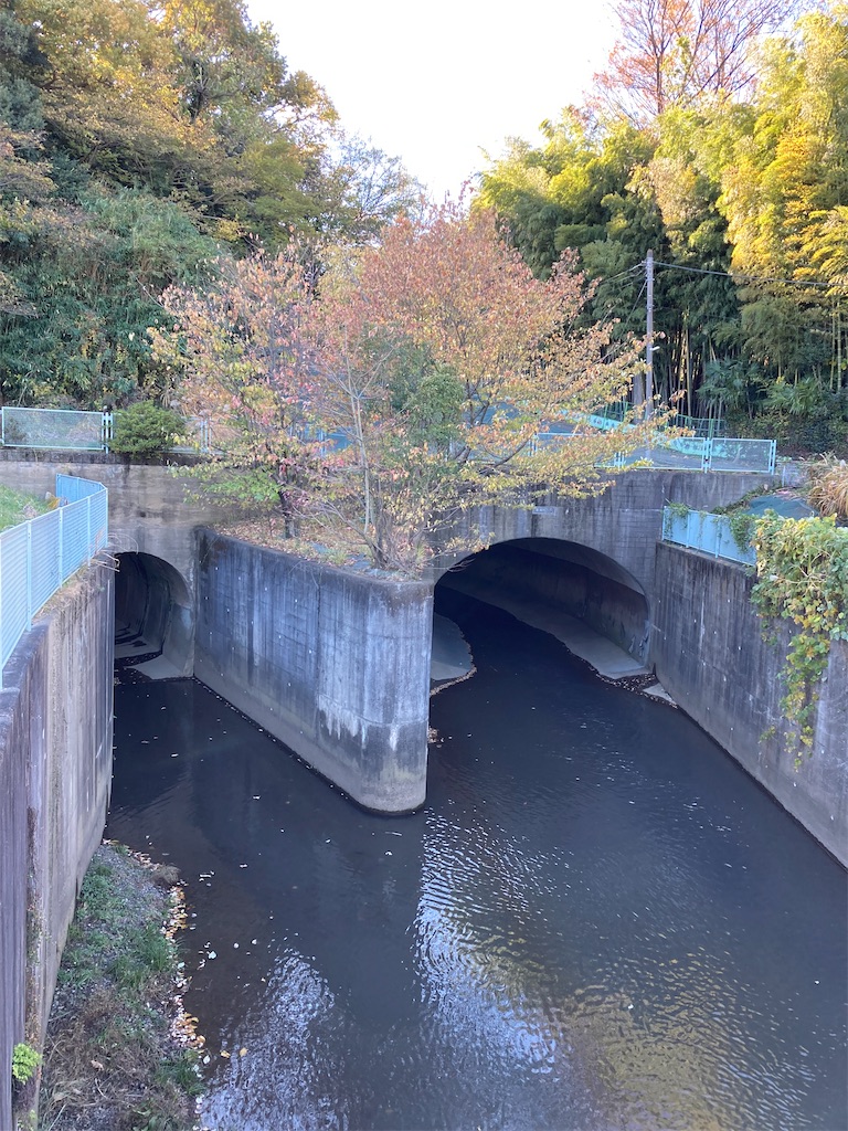 f:id:masaru-arameya:20211128180757j:image f:id:masaru-arameya:20211128180757j:image
