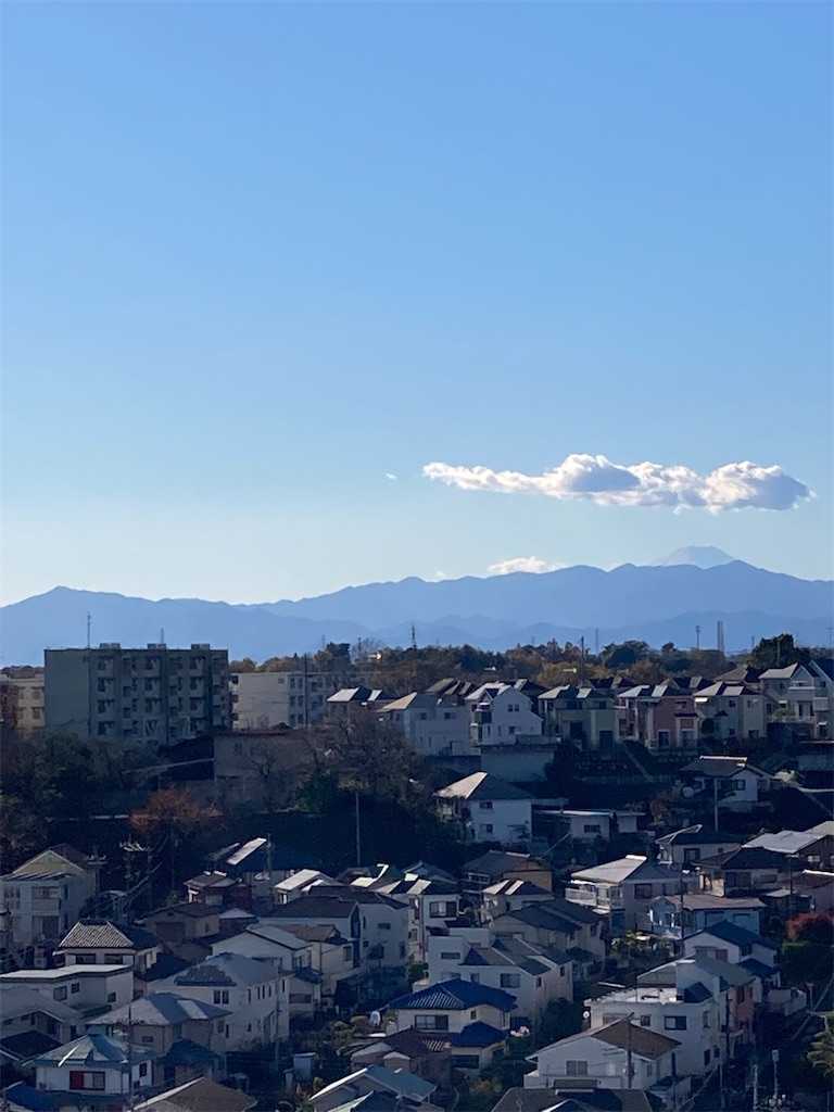 f:id:masaru-arameya:20211128181111j:image f:id:masaru-arameya:20211128181111j:image