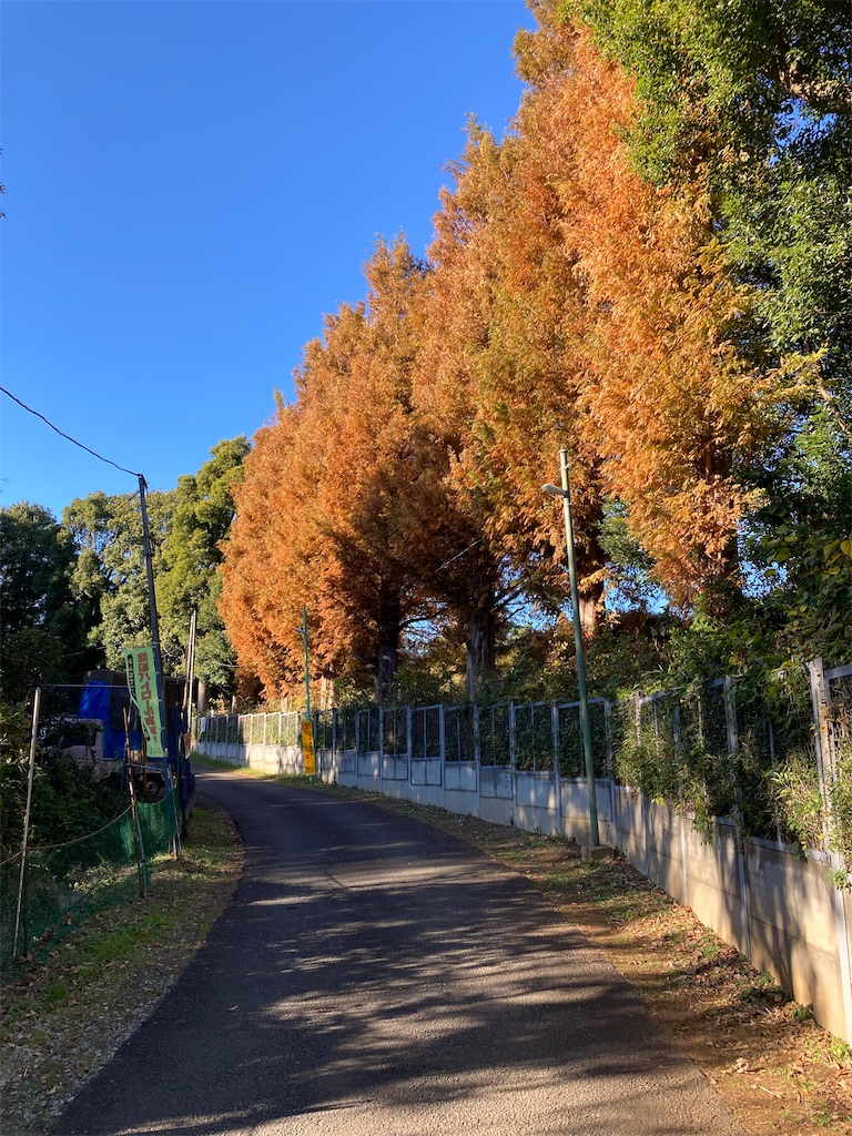 f:id:masaru-arameya:20211128181155j:image f:id:masaru-arameya:20211128181155j:image