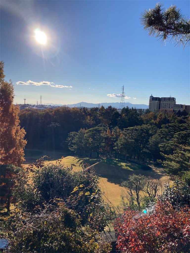 f:id:masaru-arameya:20211128181735j:image f:id:masaru-arameya:20211128181735j:image