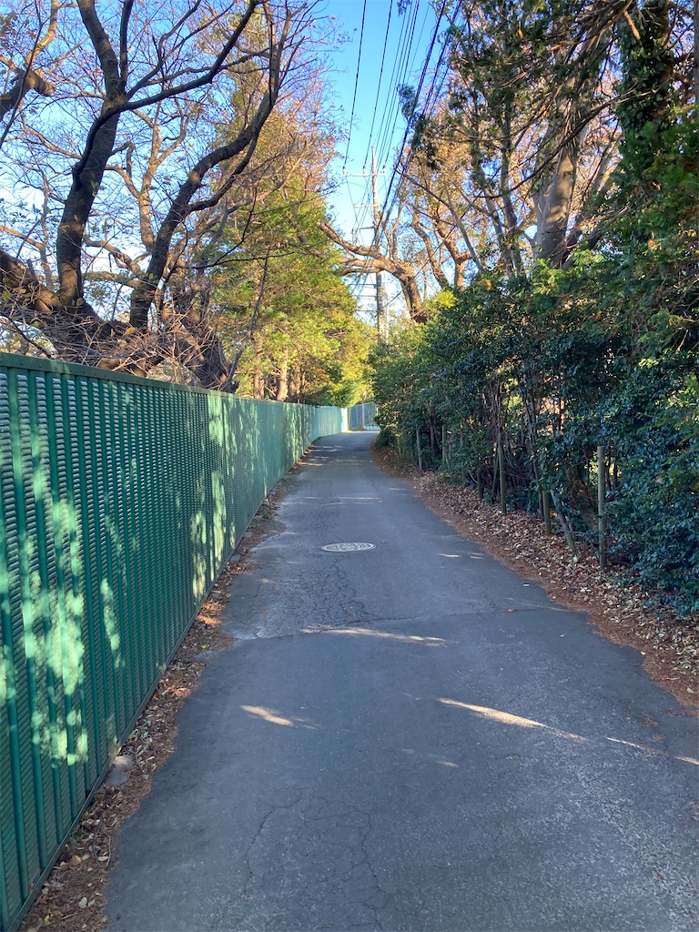 f:id:masaru-arameya:20211201203222j:image f:id:masaru-arameya:20211201203222j:image