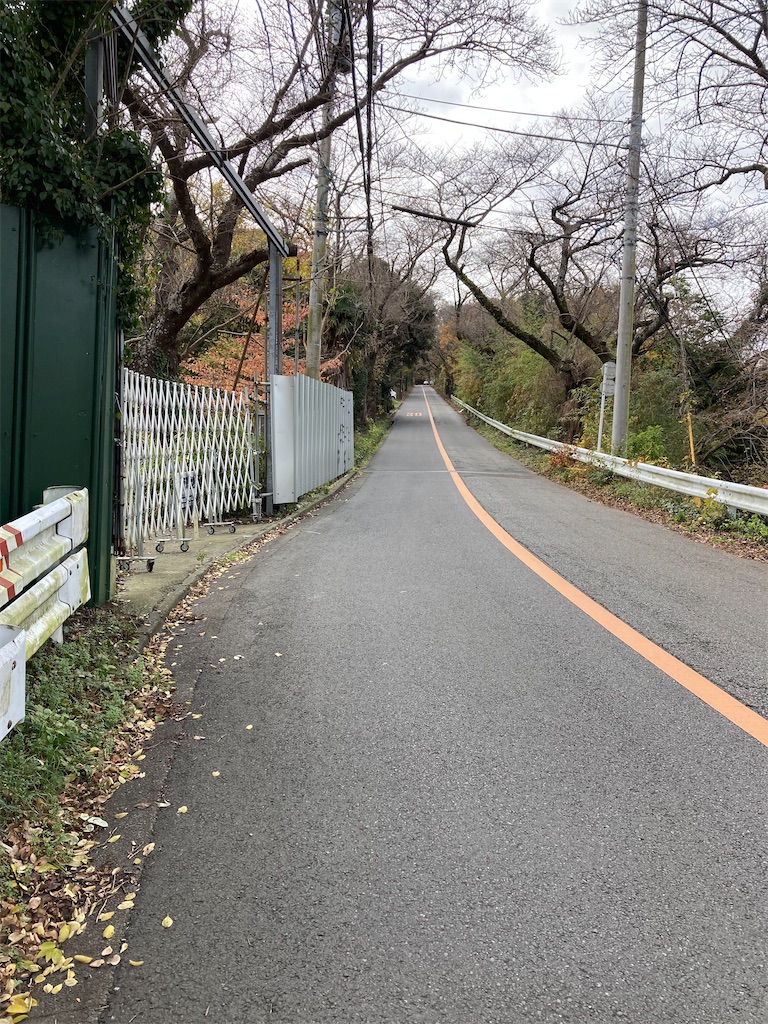 f:id:masaru-arameya:20211205184800j:image f:id:masaru-arameya:20211205184800j:image