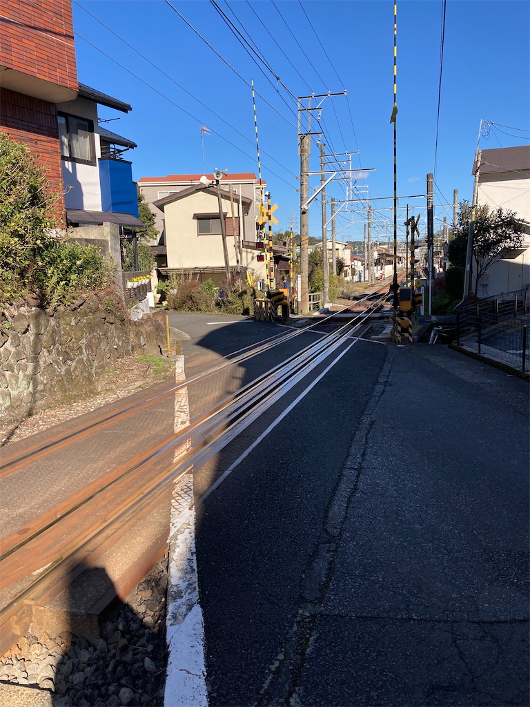 f:id:masaru-arameya:20211219174013j:image f:id:masaru-arameya:20211219174013j:image