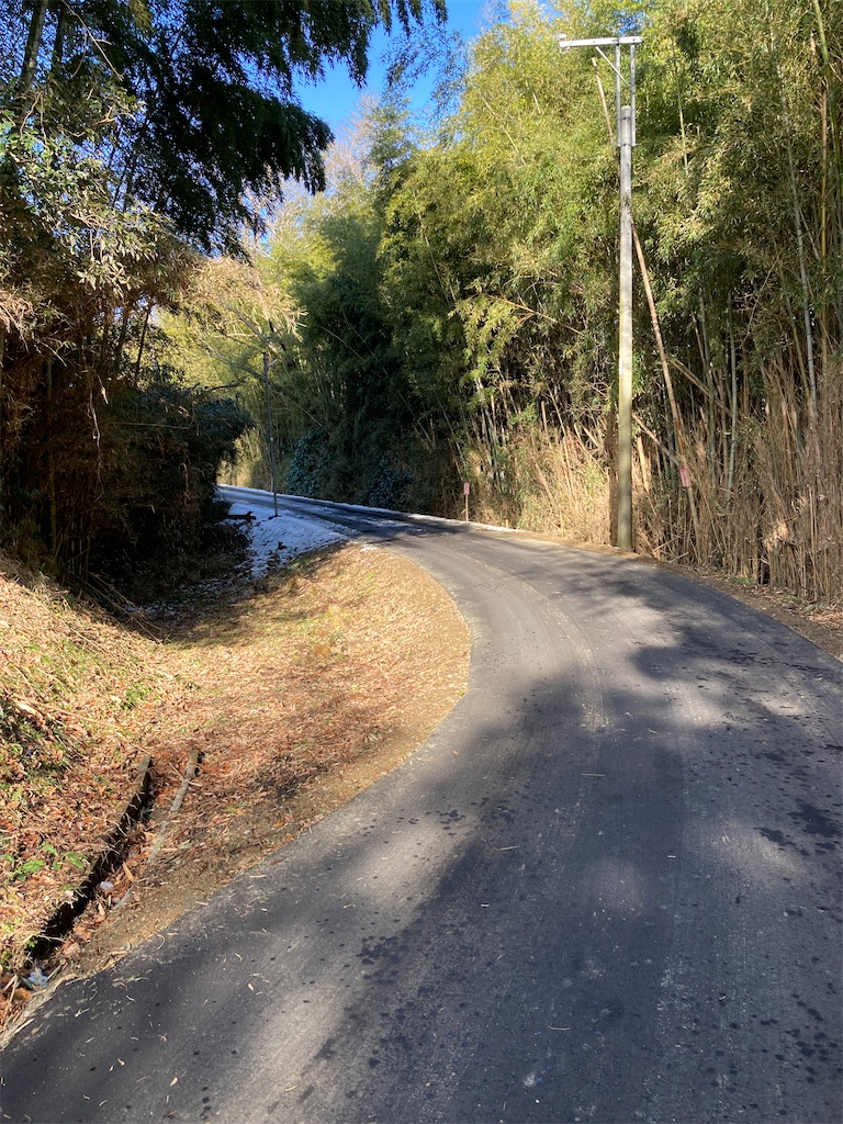 f:id:masaru-arameya:20220111204947j:image