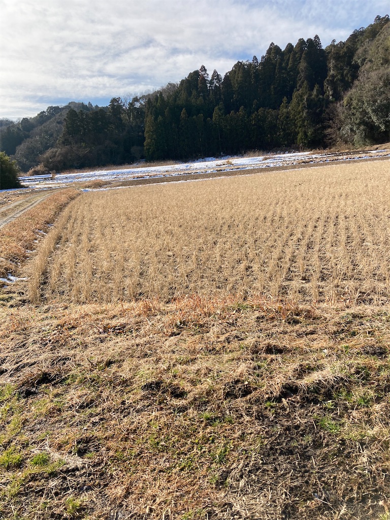 f:id:masaru-arameya:20220111204950j:image