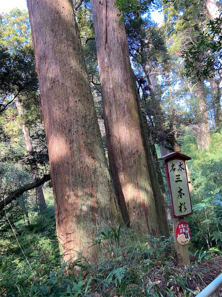 f:id:masaru-arameya:20220111210357j:image