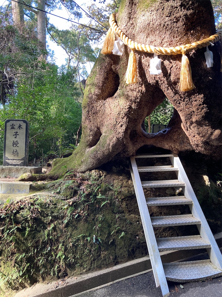 f:id:masaru-arameya:20220111210359j:image