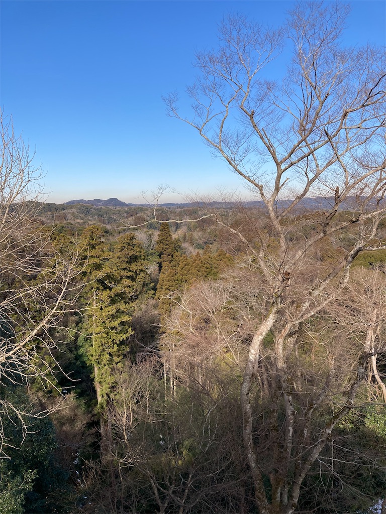 f:id:masaru-arameya:20220111210552j:image