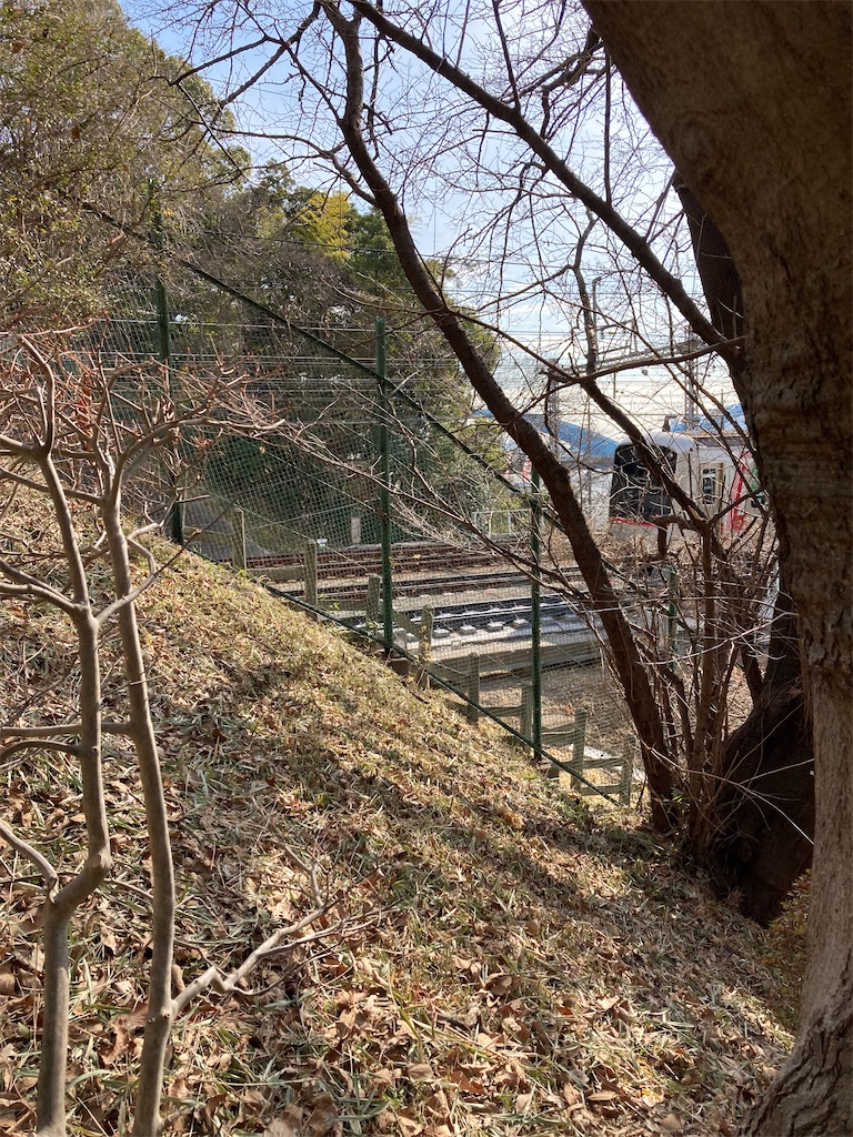 f:id:masaru-arameya:20220129135521j:image f:id:masaru-arameya:20220129135521j:image
