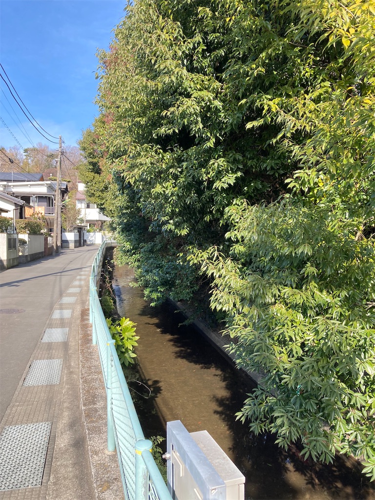 f:id:masaru-arameya:20220129135937j:image f:id:masaru-arameya:20220129135937j:image
