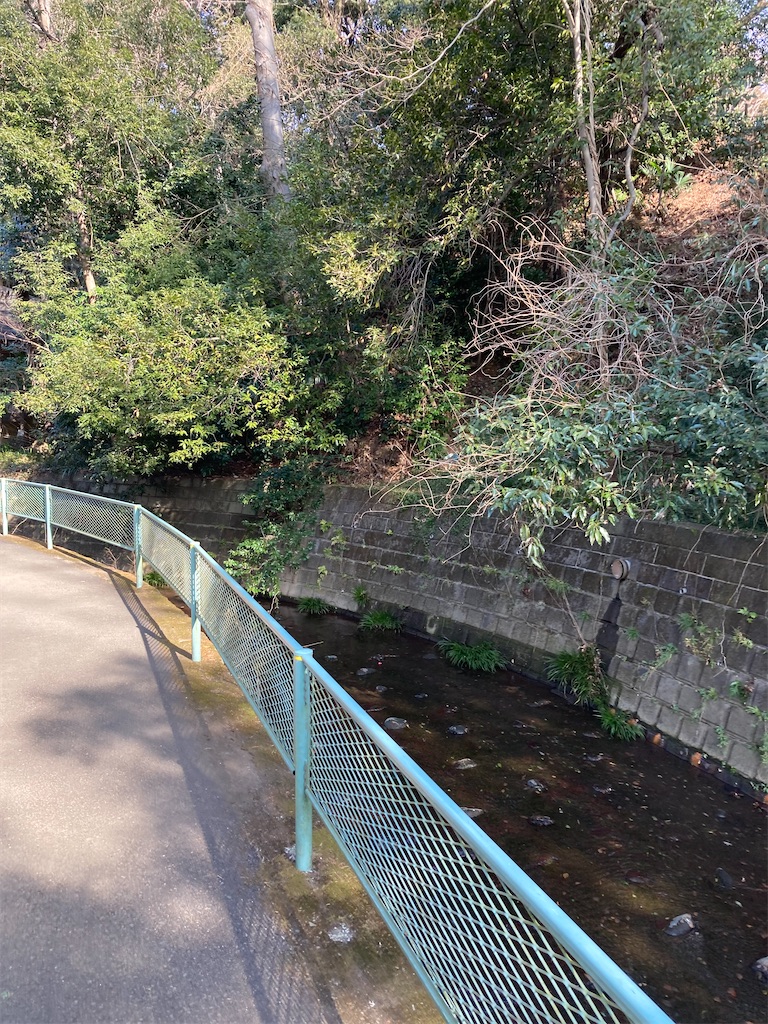 f:id:masaru-arameya:20220129140015j:image f:id:masaru-arameya:20220129140015j:image