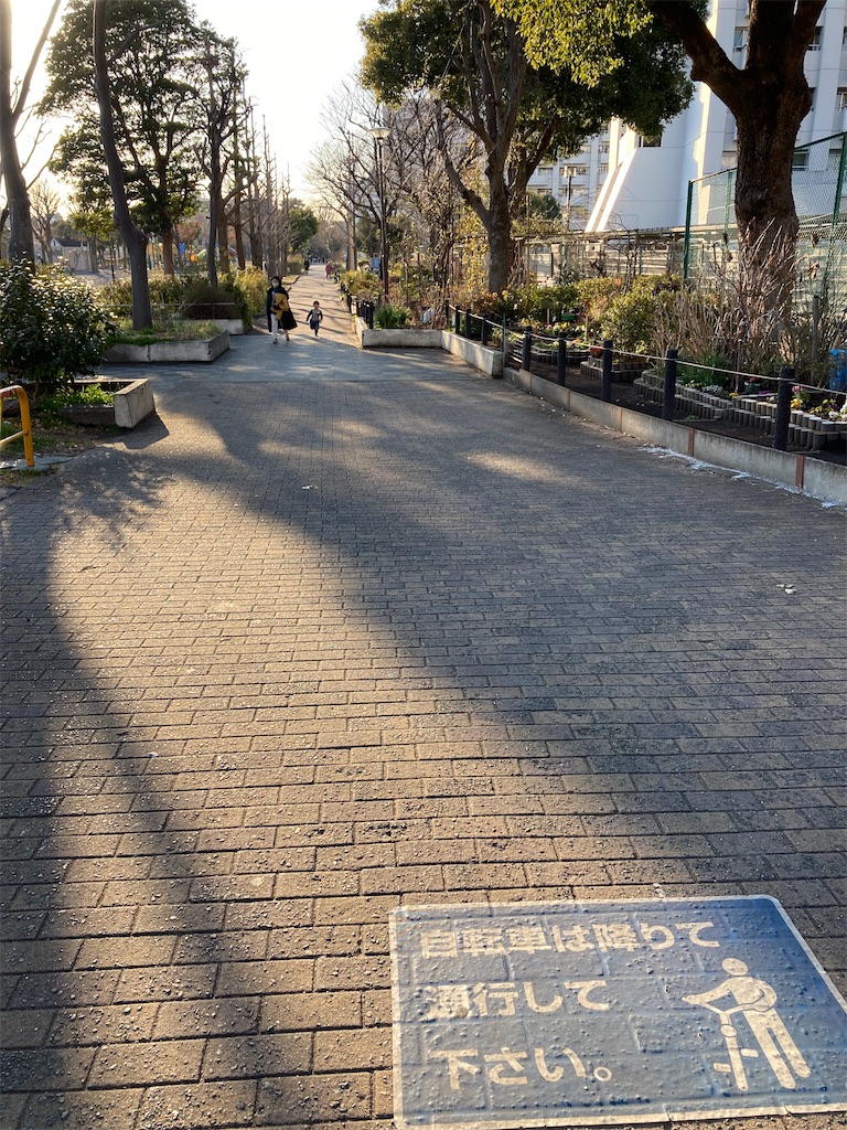 f:id:masaru-arameya:20220212183625j:image f:id:masaru-arameya:20220212183625j:image