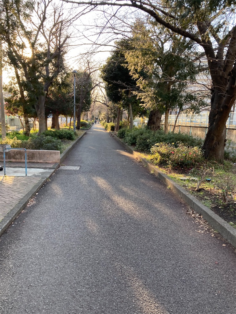 f:id:masaru-arameya:20220212184917j:image f:id:masaru-arameya:20220212184917j:image