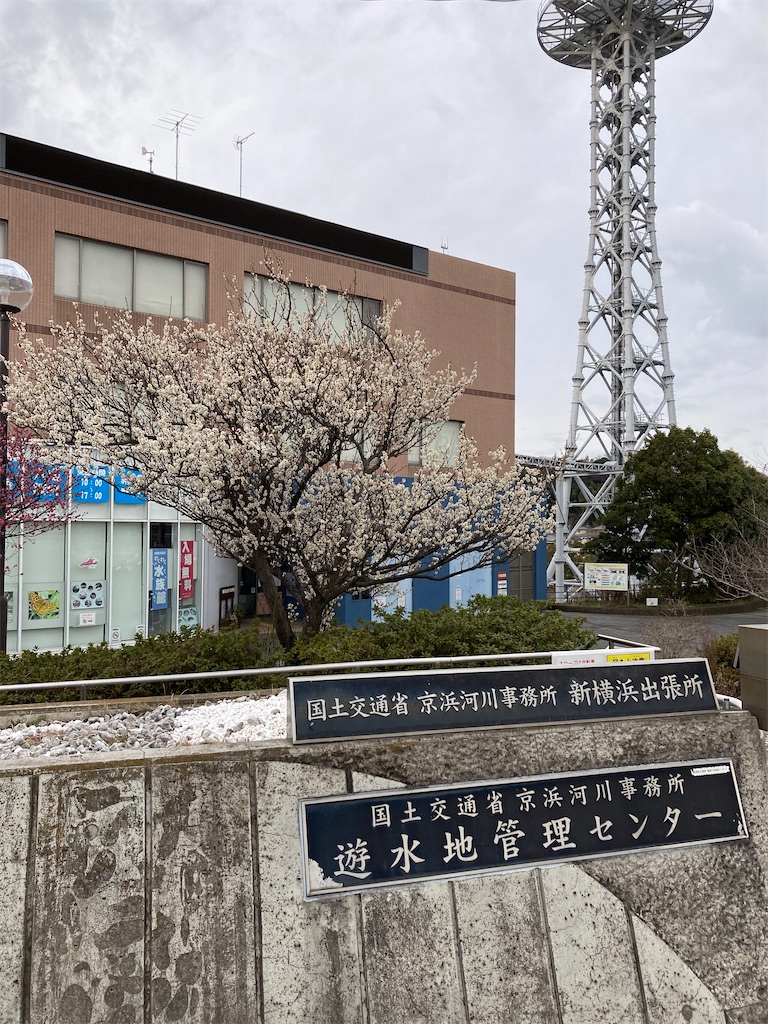 f:id:masaru-arameya:20220219123823j:image f:id:masaru-arameya:20220219123823j:image