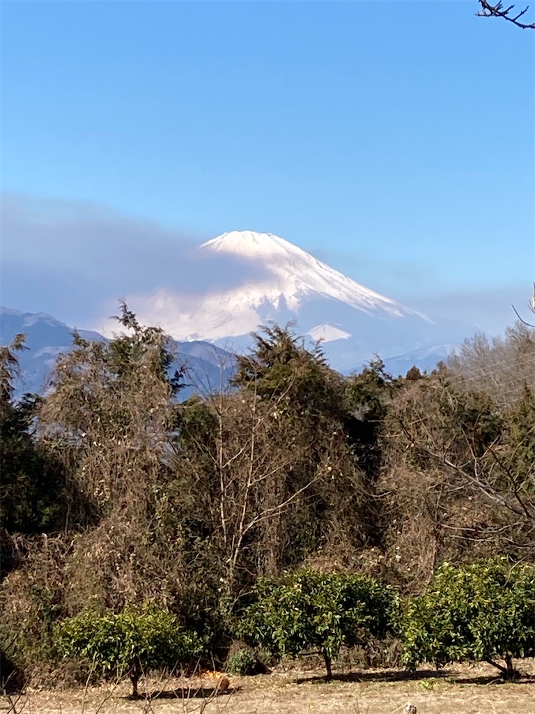 f:id:masaru-arameya:20220226151422j:image f:id:masaru-arameya:20220226151422j:image