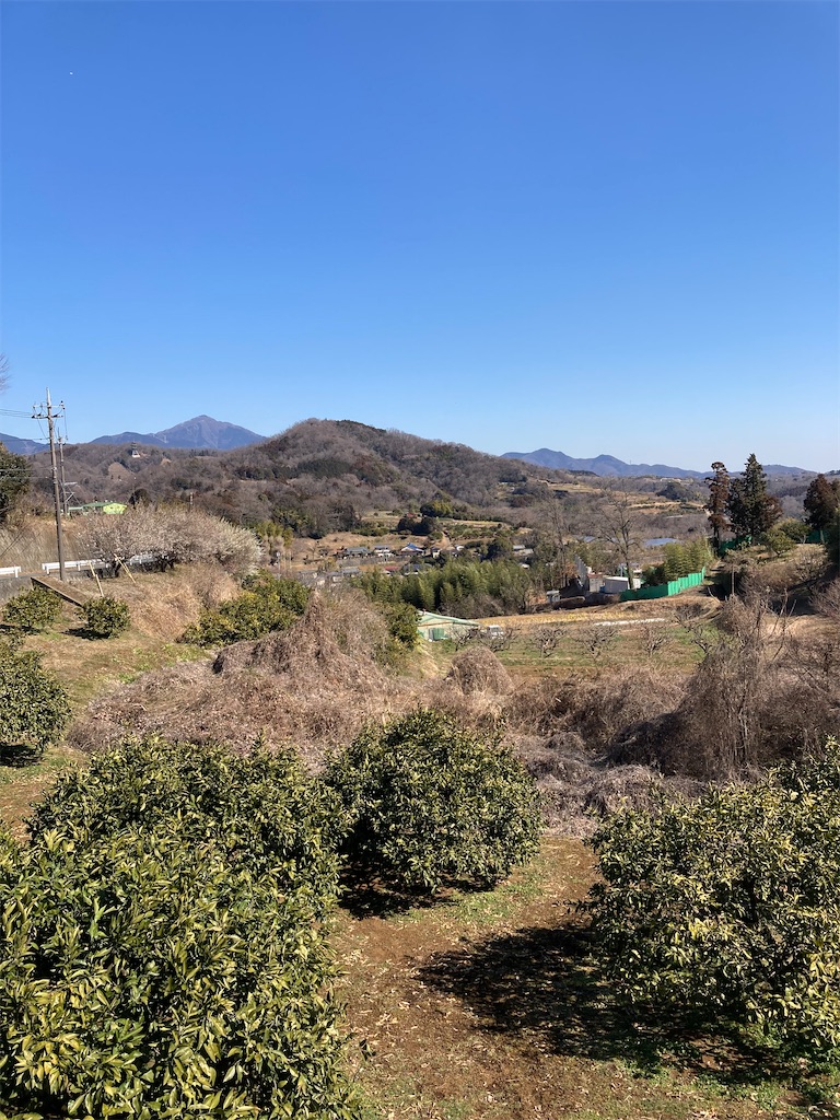 f:id:masaru-arameya:20220226151655j:image f:id:masaru-arameya:20220226151655j:image