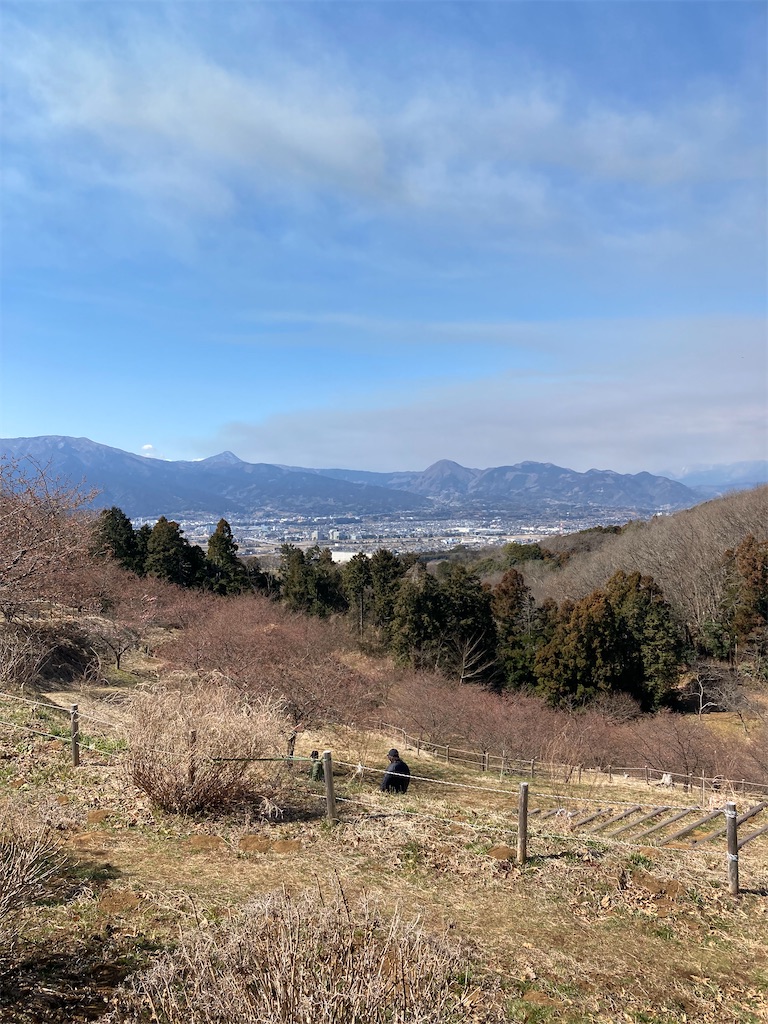 f:id:masaru-arameya:20220226151720j:image f:id:masaru-arameya:20220226151720j:image