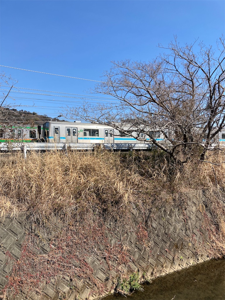 f:id:masaru-arameya:20220227155135j:image f:id:masaru-arameya:20220227155135j:image