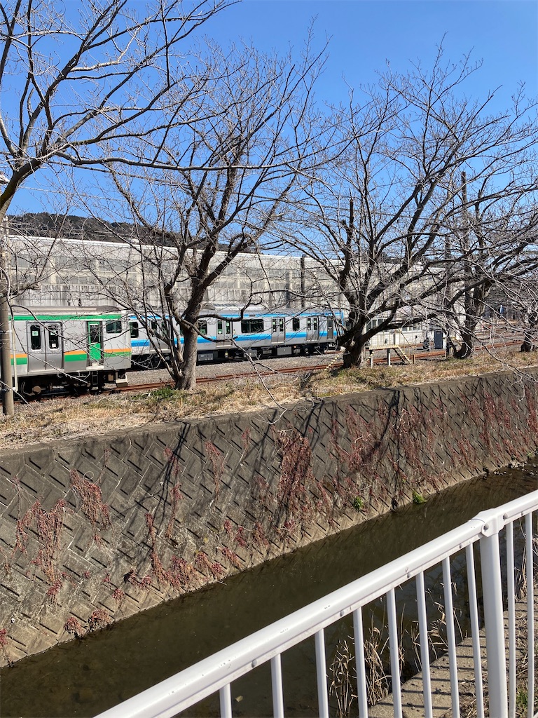 f:id:masaru-arameya:20220227155139j:image f:id:masaru-arameya:20220227155139j:image