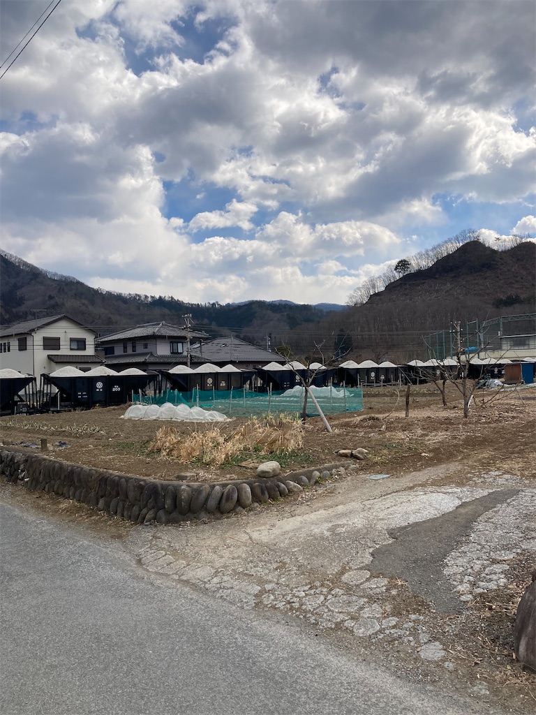 f:id:masaru-arameya:20220306071657j:image f:id:masaru-arameya:20220306071657j:image