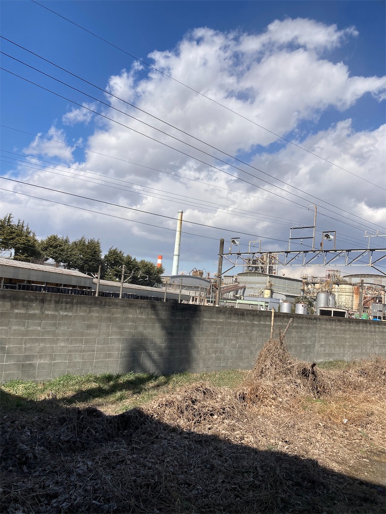 f:id:masaru-arameya:20220306074243j:image f:id:masaru-arameya:20220306074243j:image