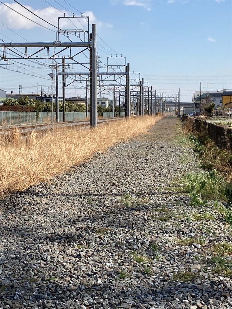 f:id:masaru-arameya:20220306081037j:image f:id:masaru-arameya:20220306081037j:image