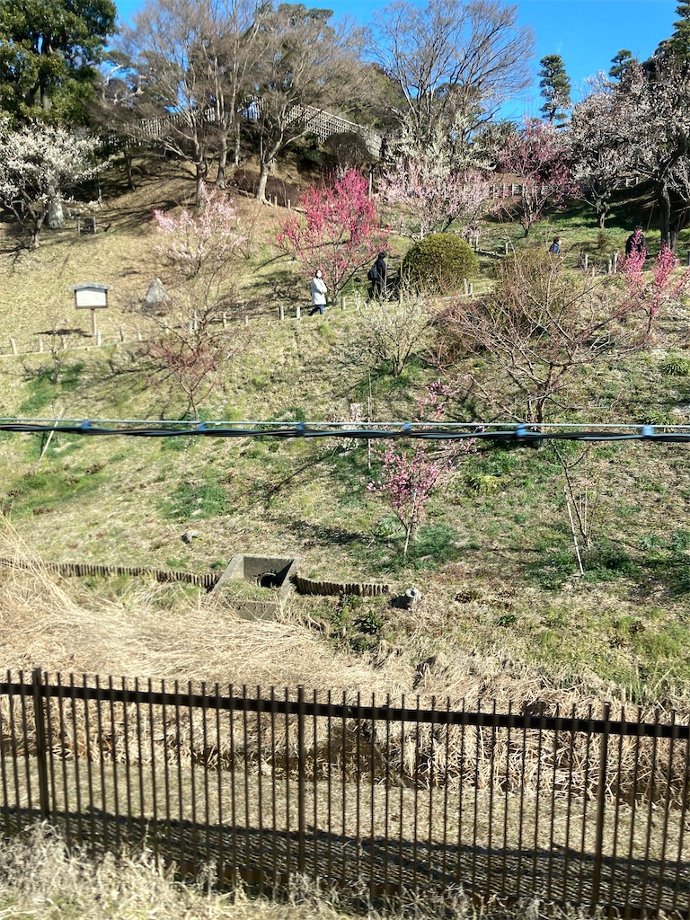 f:id:masaru-arameya:20220306173326j:image f:id:masaru-arameya:20220306173326j:image
