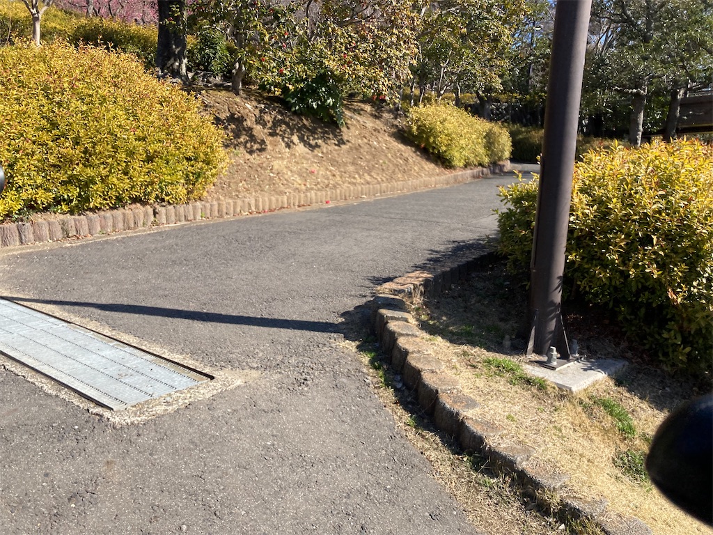 f:id:masaru-arameya:20220306174114j:image f:id:masaru-arameya:20220306174114j:image