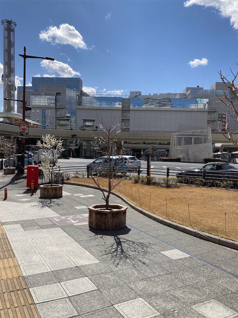 f:id:masaru-arameya:20220306181339j:image f:id:masaru-arameya:20220306181339j:image