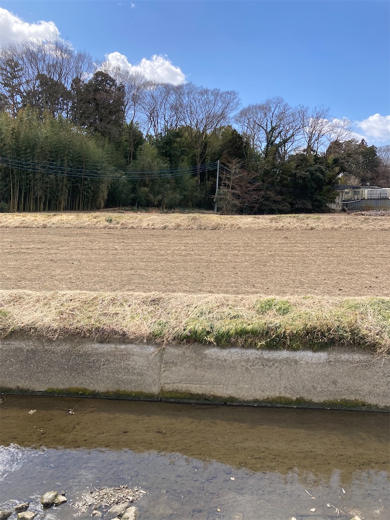 f:id:masaru-arameya:20220306182441j:image f:id:masaru-arameya:20220306182441j:image