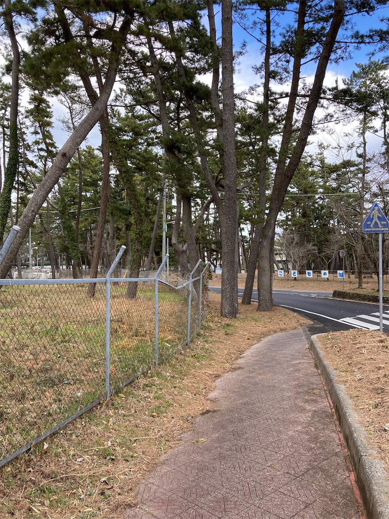 f:id:masaru-arameya:20220306185050j:image f:id:masaru-arameya:20220306185050j:image
