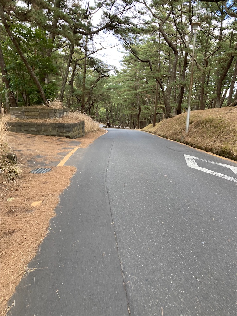 f:id:masaru-arameya:20220306185053j:image f:id:masaru-arameya:20220306185053j:image