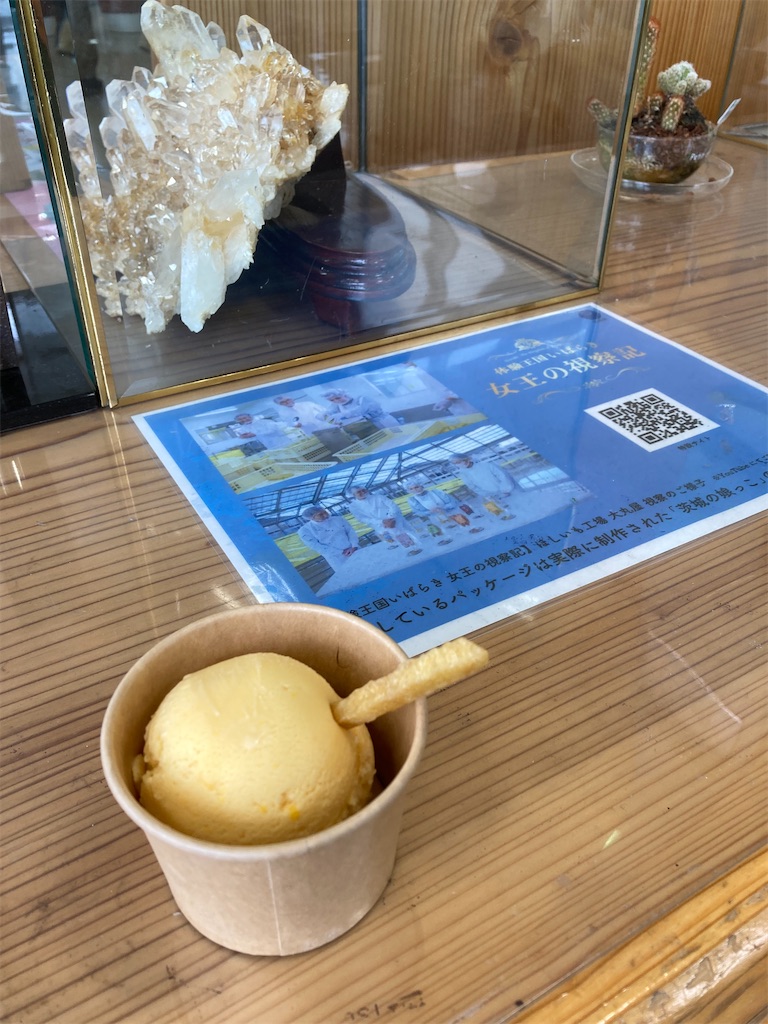 f:id:masaru-arameya:20220306190411j:image f:id:masaru-arameya:20220306190411j:image