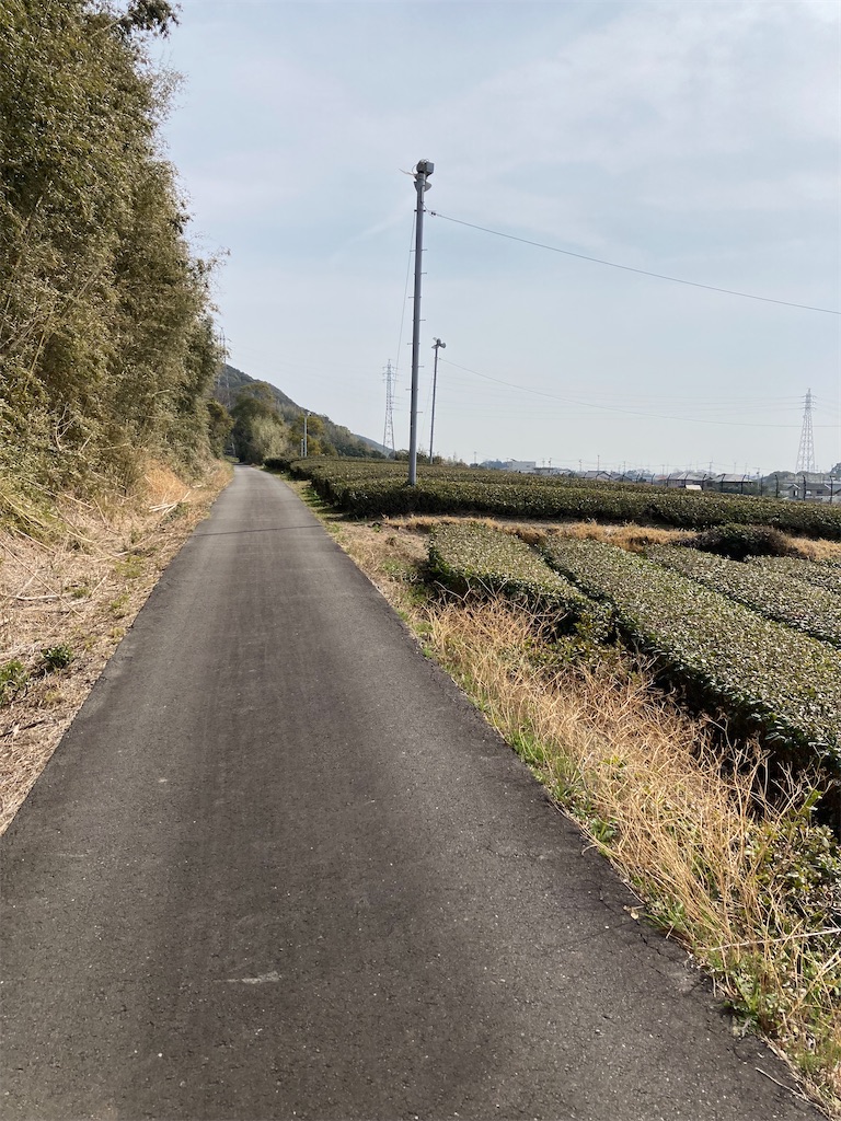 f:id:masaru-arameya:20220314095334j:image f:id:masaru-arameya:20220314095334j:image