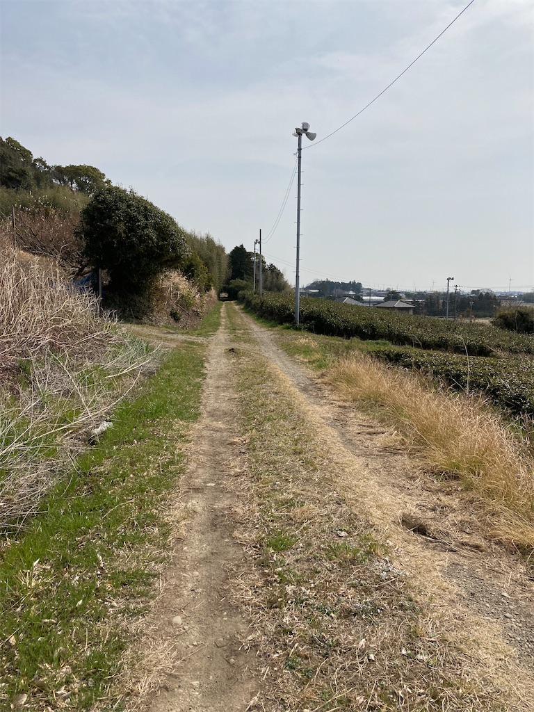 f:id:masaru-arameya:20220314095417j:image f:id:masaru-arameya:20220314095417j:image
