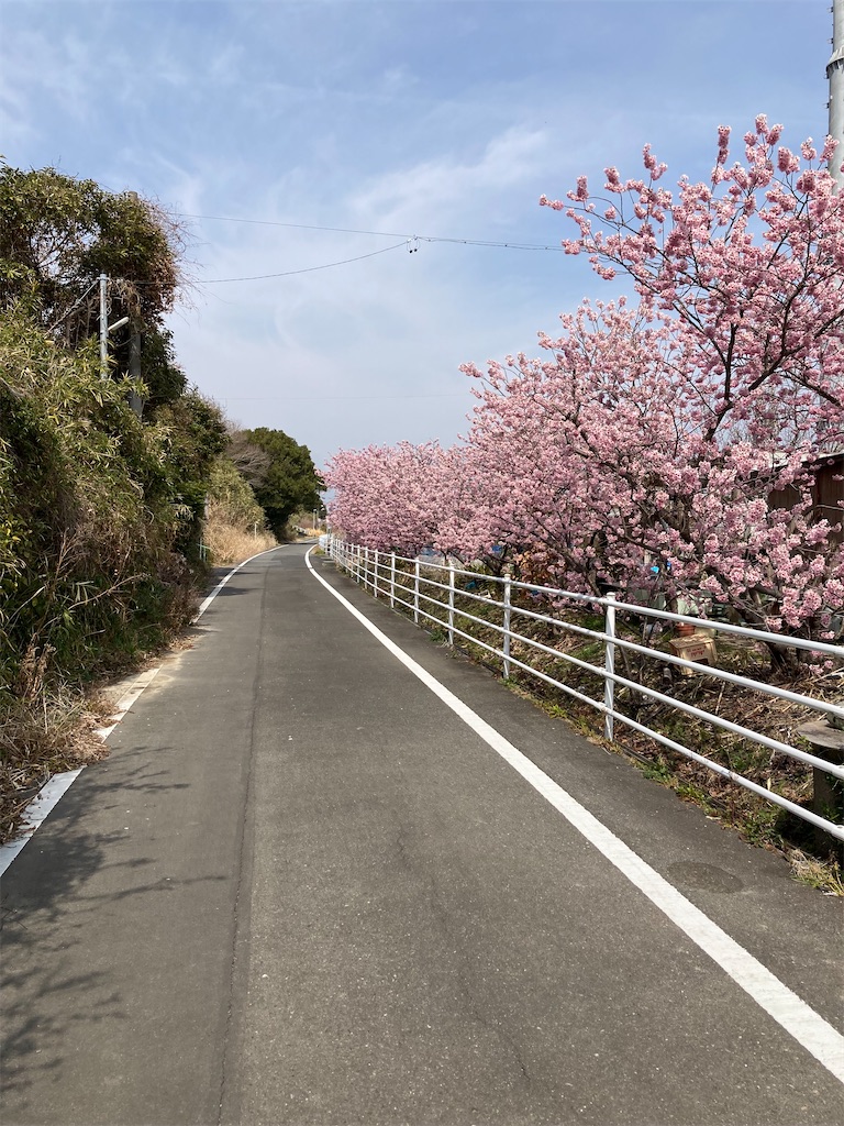 f:id:masaru-arameya:20220314101509j:image f:id:masaru-arameya:20220314101509j:image