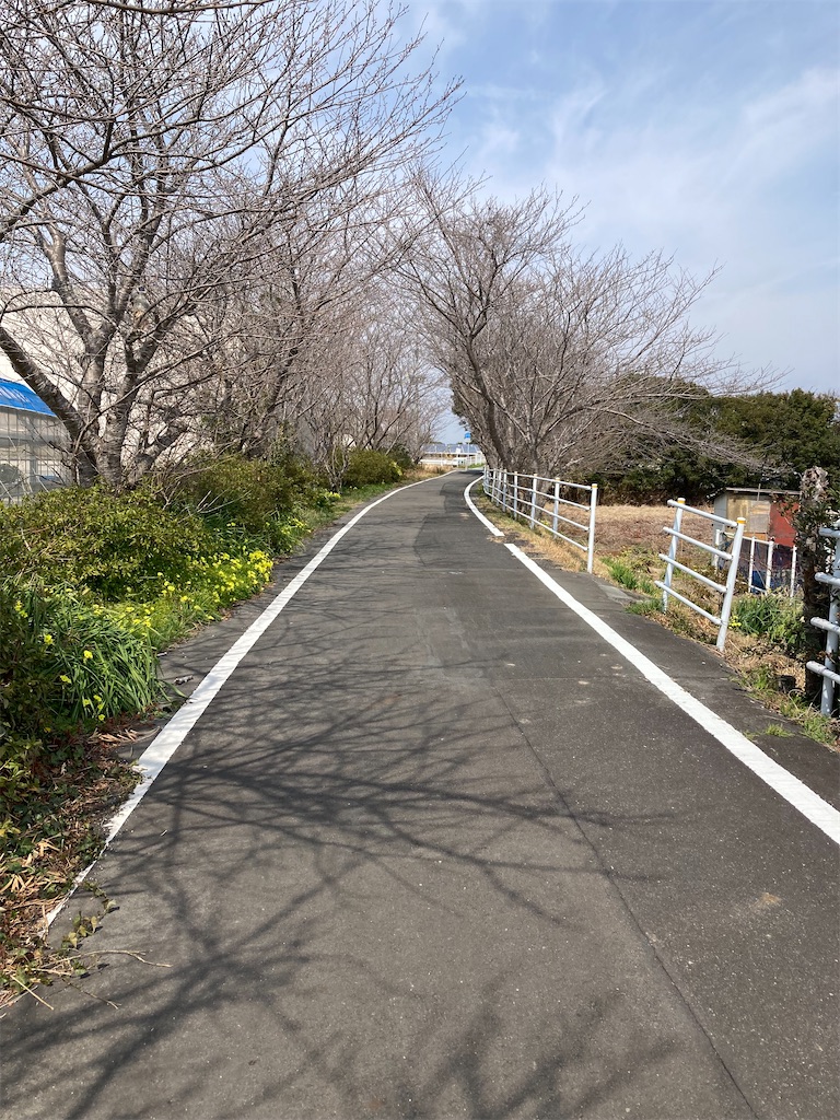 f:id:masaru-arameya:20220314101601j:image f:id:masaru-arameya:20220314101601j:image