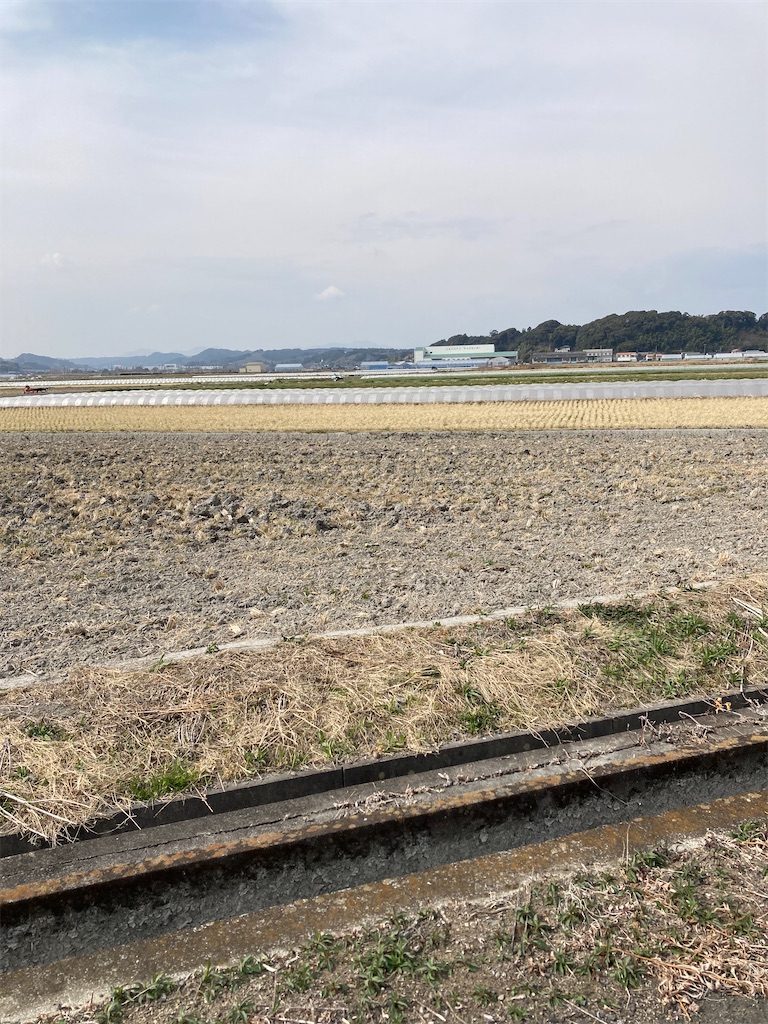 f:id:masaru-arameya:20220314102508j:image f:id:masaru-arameya:20220314102508j:image