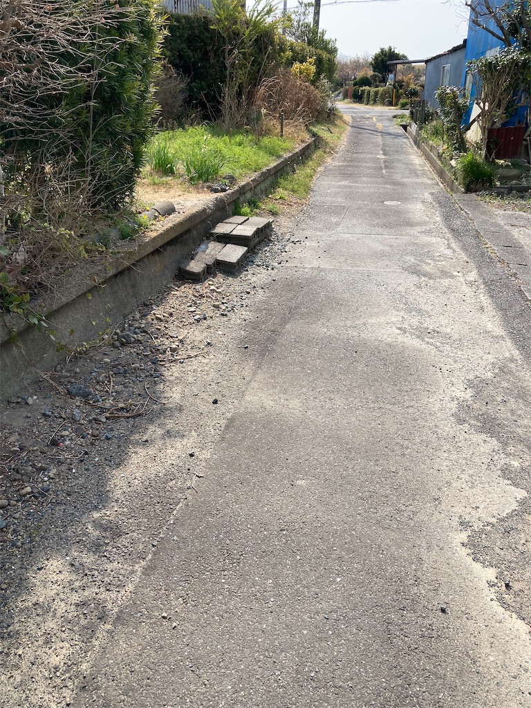 f:id:masaru-arameya:20220315095727j:image f:id:masaru-arameya:20220315095727j:image