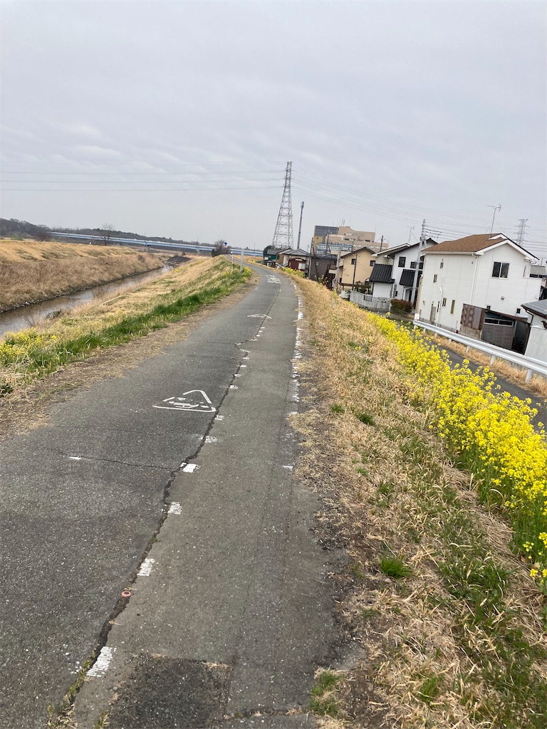 f:id:masaru-arameya:20220326132324j:image f:id:masaru-arameya:20220326132324j:image