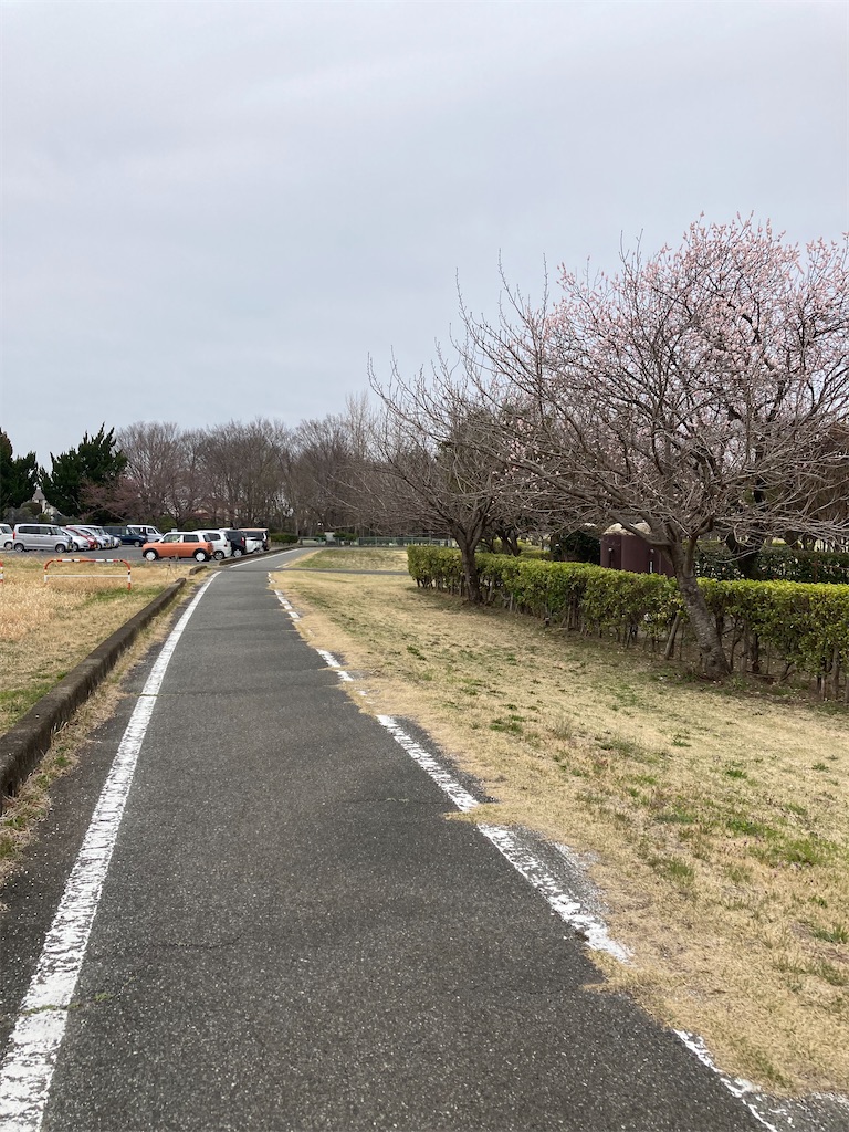 f:id:masaru-arameya:20220326132357j:image f:id:masaru-arameya:20220326132357j:image
