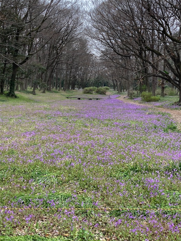 f:id:masaru-arameya:20220326132404j:image f:id:masaru-arameya:20220326132404j:image
